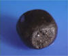 indian chara hash