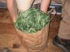Bubble Hash